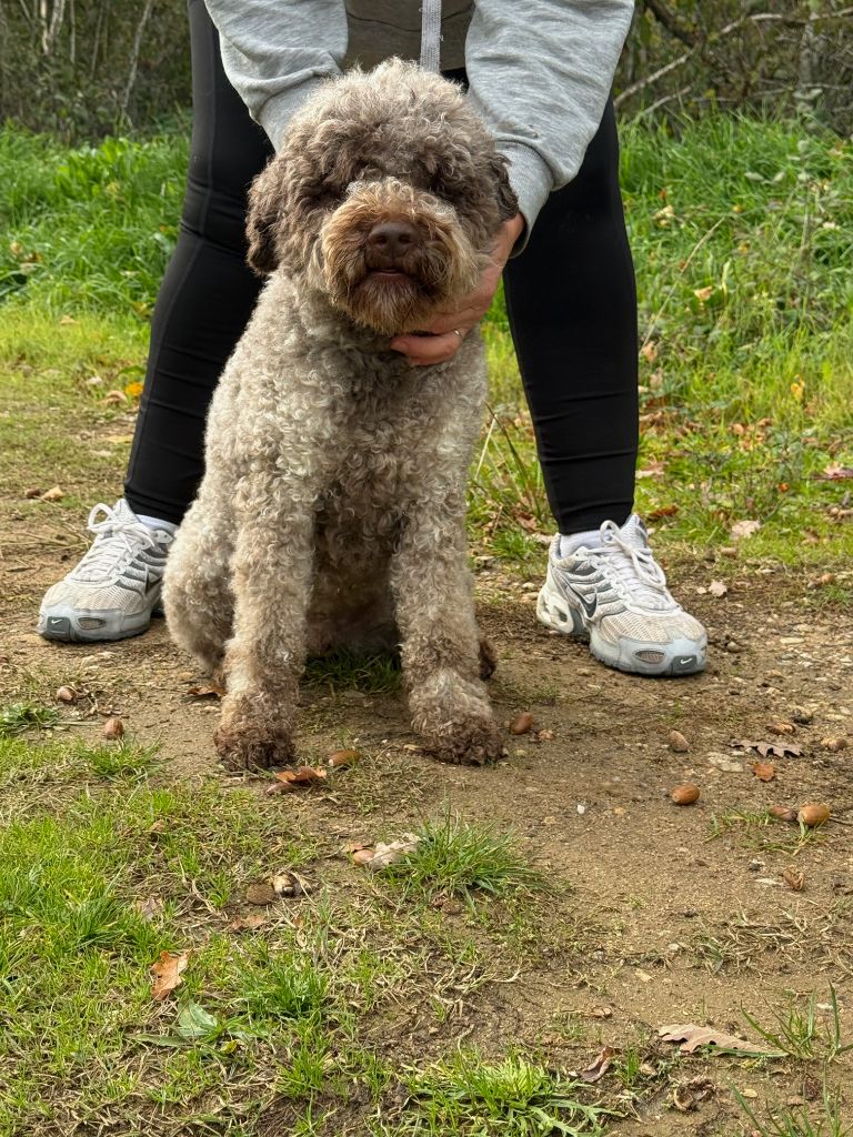 Topaze des coleres de Zeus